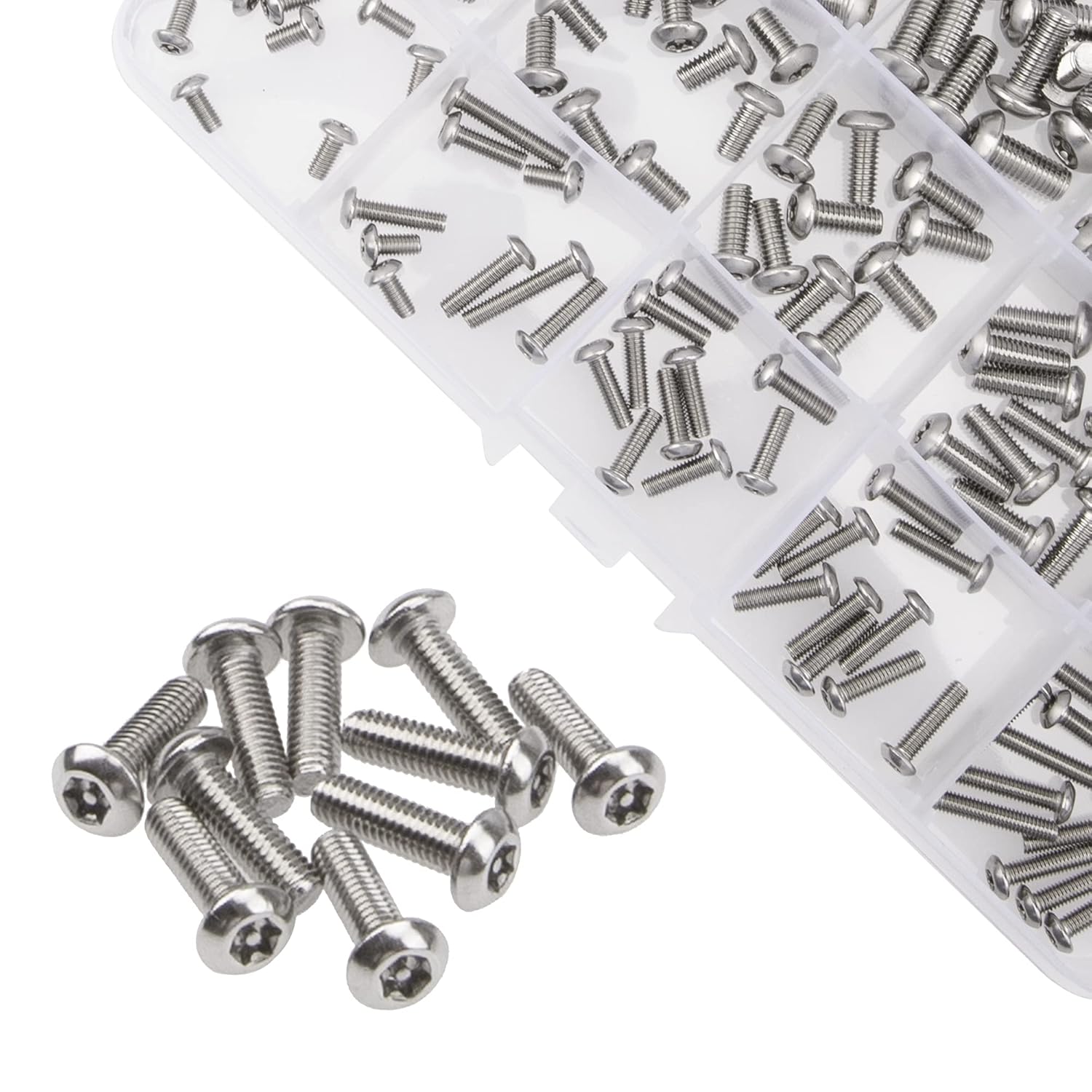 Close-up view of Rrina torx security screws in their divided storage case