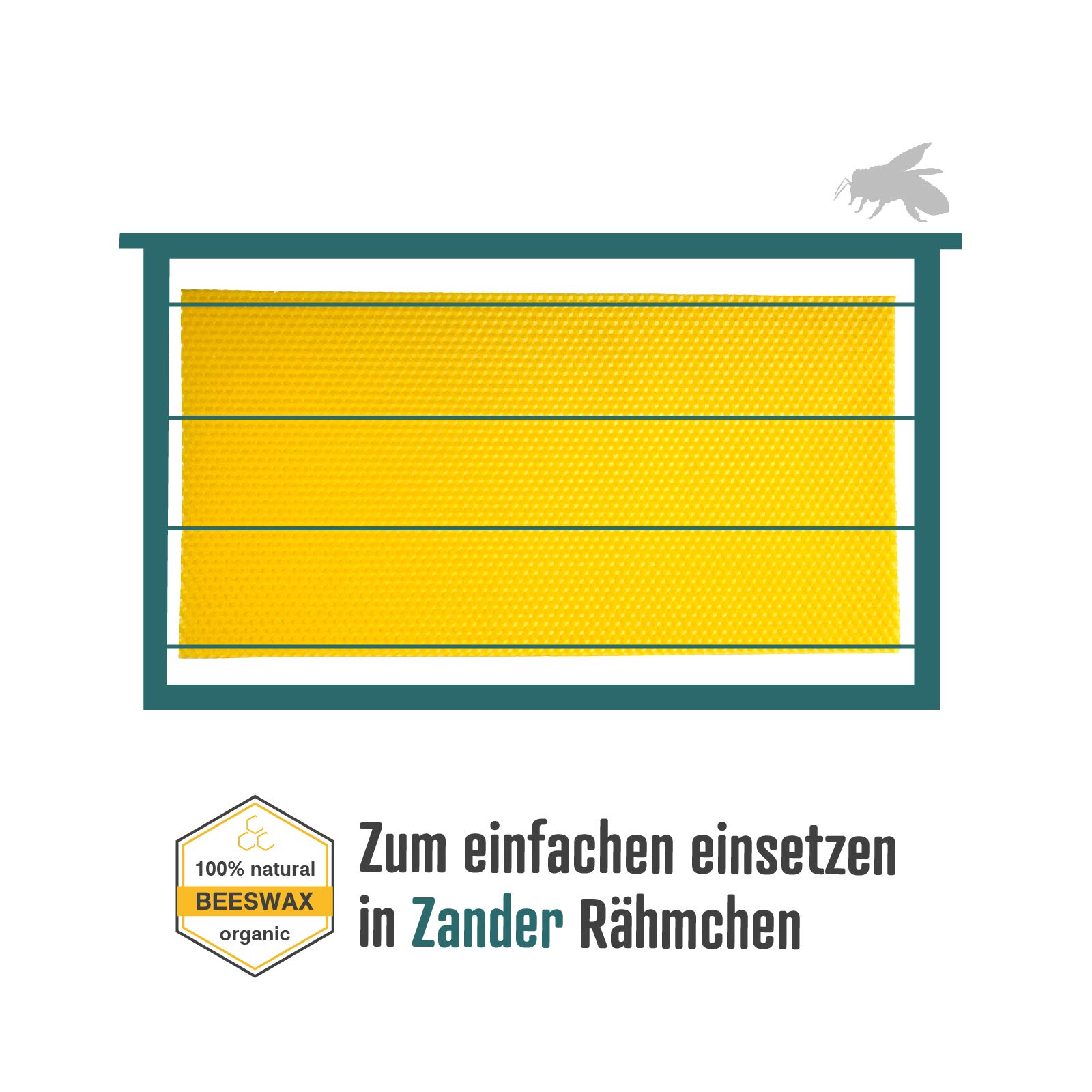 Wachsmann reines Bienenwachs – zertifiziert varroazid-frei, 15 Mittelwände Zander, Made in Germany, für Imker Rähmchen