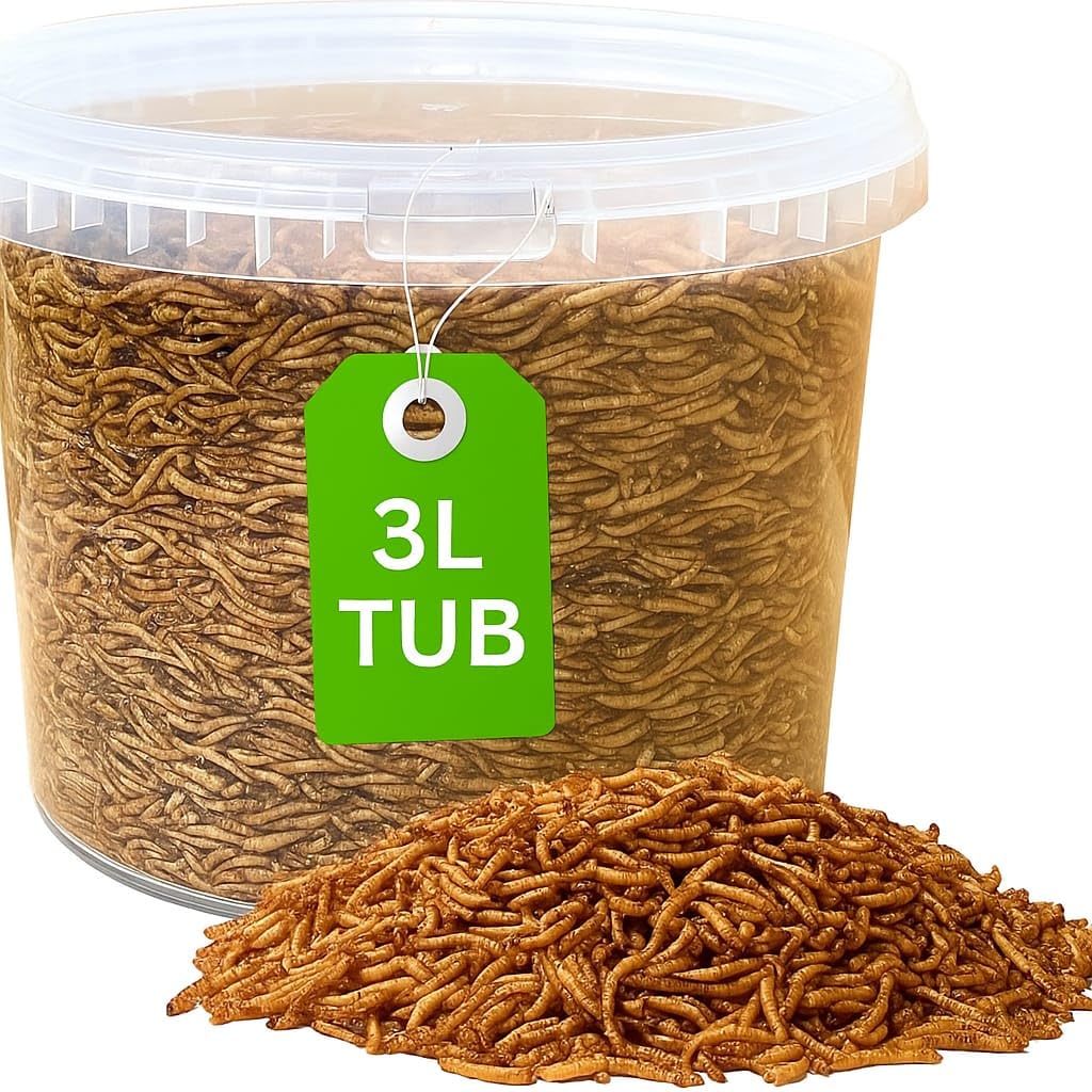 Premium Mealworms Wild Bird Food, Protein Food for All Species, Natural High Energy Feed, No Mess Bird Food for All Birds (3L Tub, Mealworms)