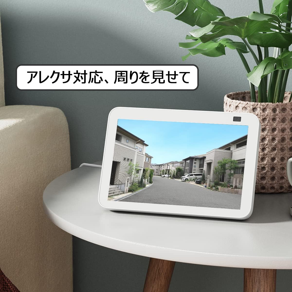 ANRAN Security Camera Alexa compatibility with Echo Show