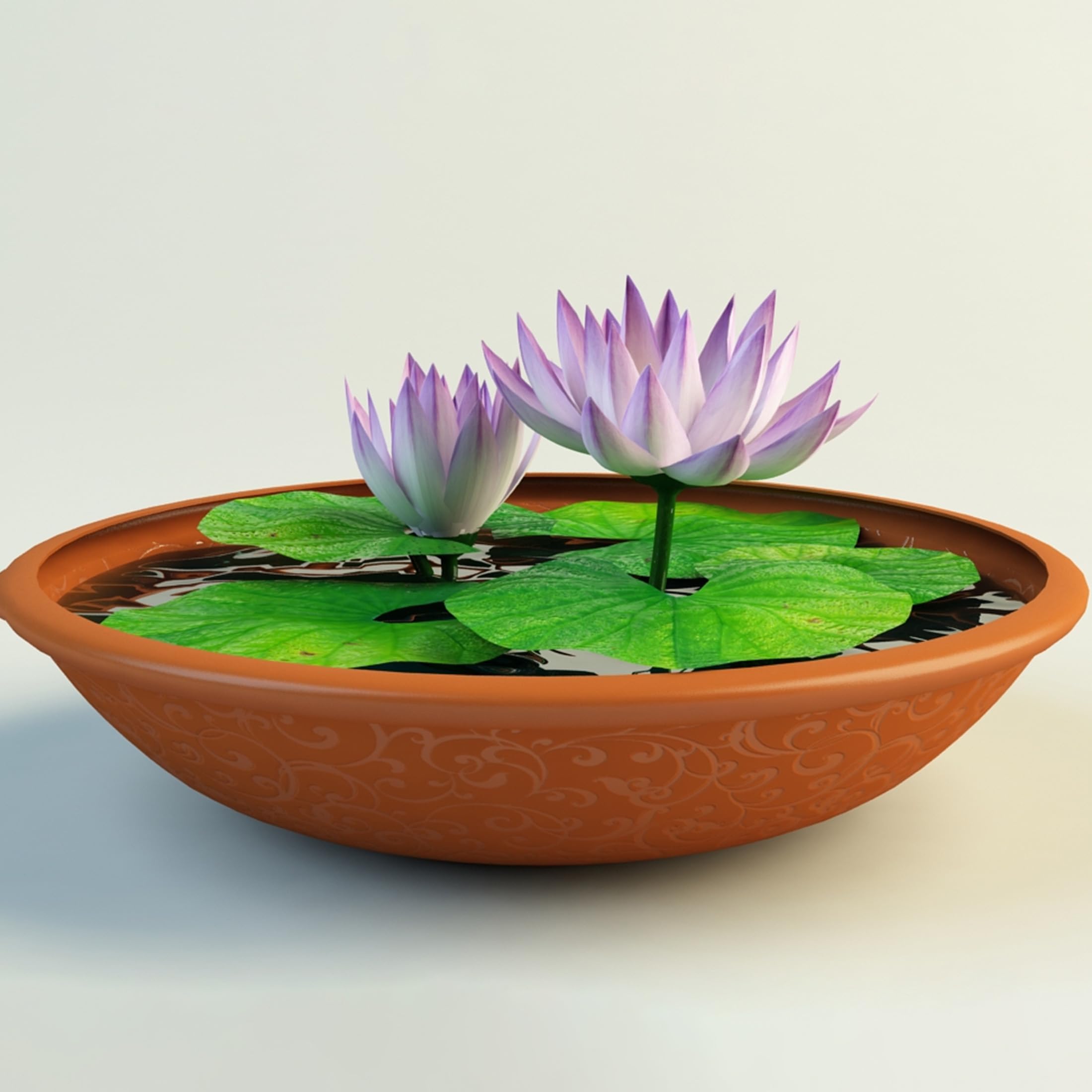 30-Seed Lotus Seed Kamal Gatta Multi Color Water Lotus Flower Plant Seeds for Pooja, Home Gardening, Live Water Outdoor Plant for Pond, Rosary of Kamalgatta, Makhana Seed by Bold Byte (B0DDBDZX8K) Amazon Price History, Amazon Price Tracker