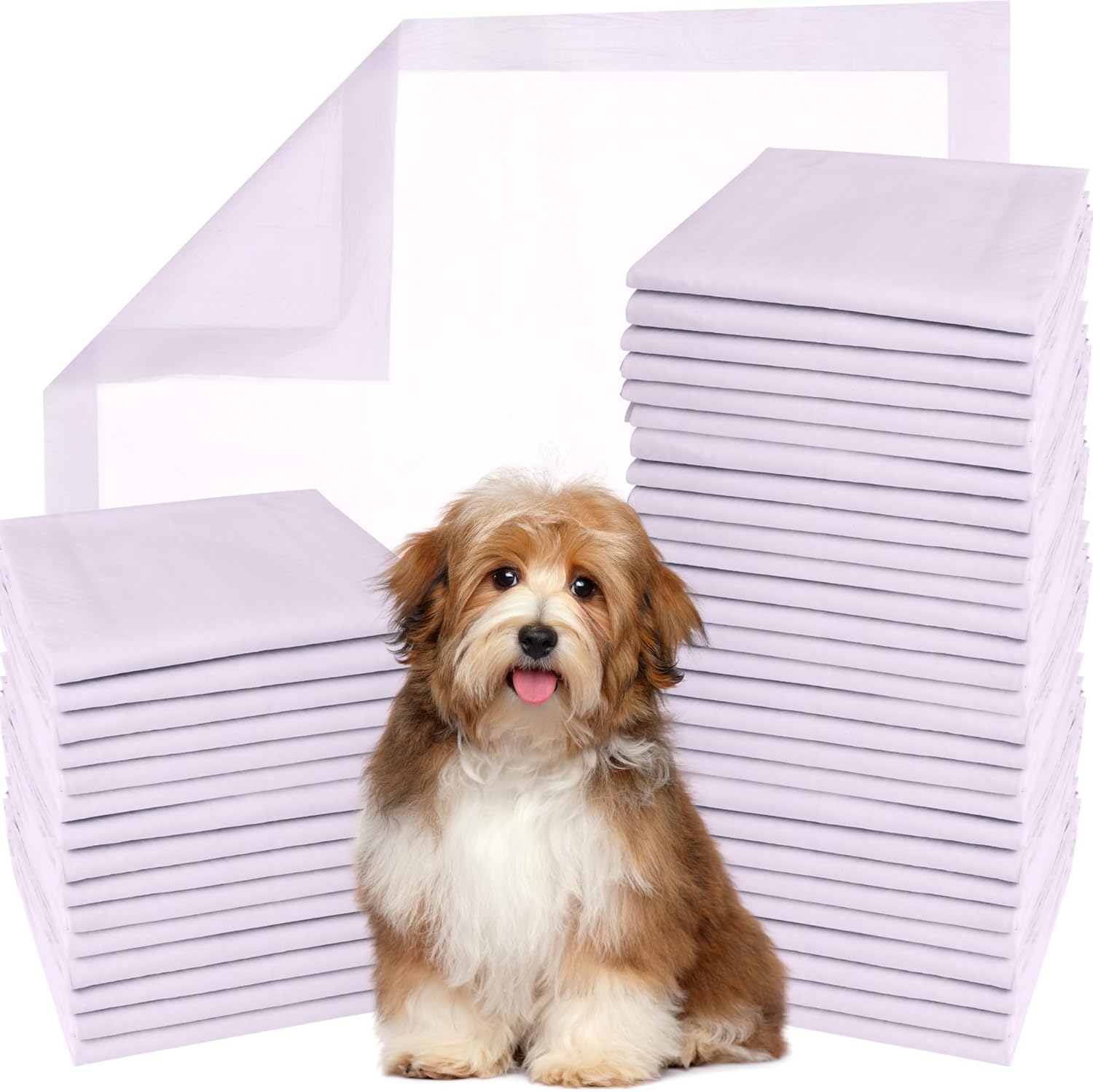 GREEN LIFESTYLE Pee Pads - Super Absorbent & Leak-Proof Pee Pads for Dogs - Puppy Pads - Waterproof Dog Pads, Lavender Scented Dog Training Pads for Cats, Rabbits (Pack of 80 - 22x22) Lavender 80 Pack - 22x22