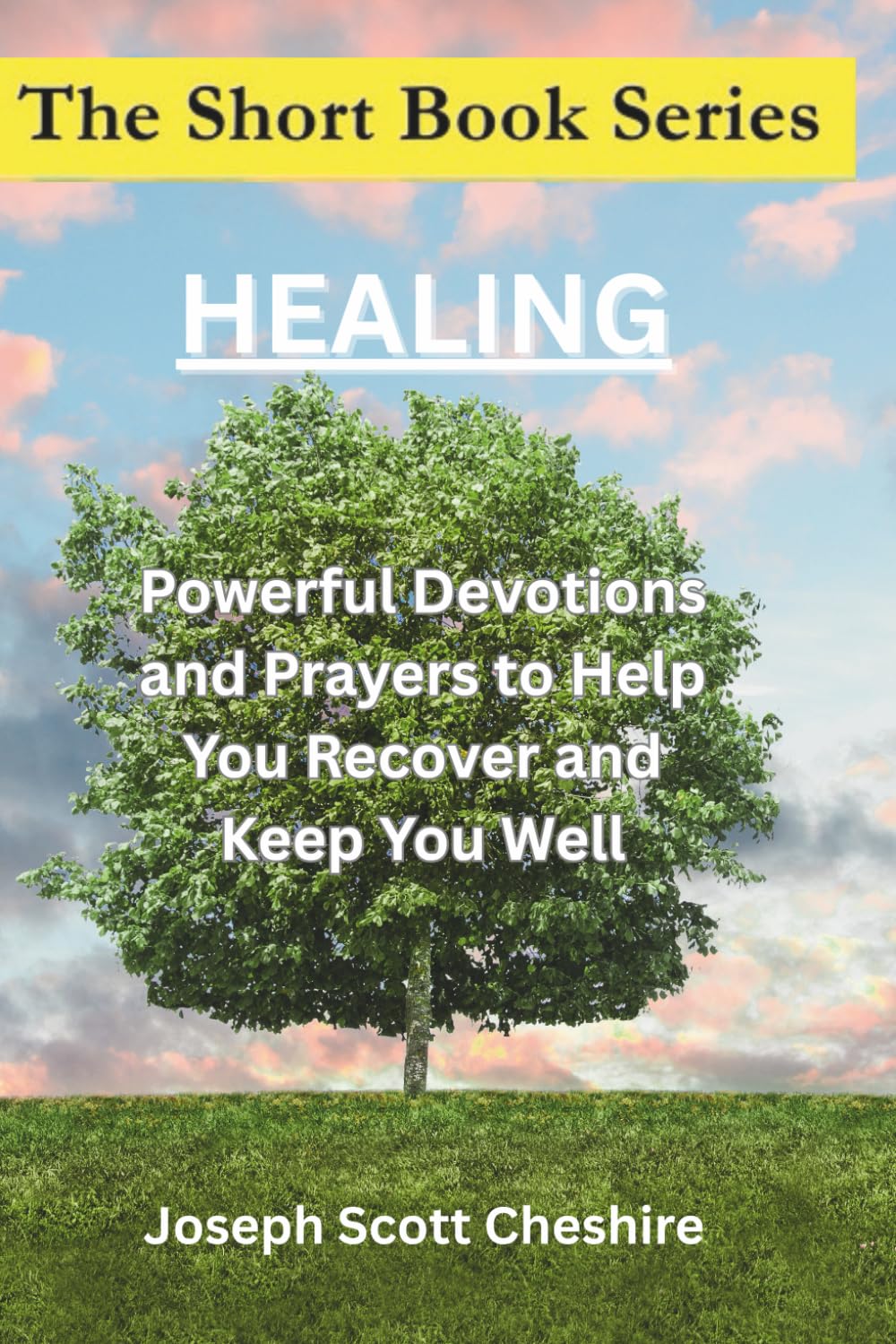 The Short Book Series: Healing: Powerful Prayers to Help You Recover and Keep You Well