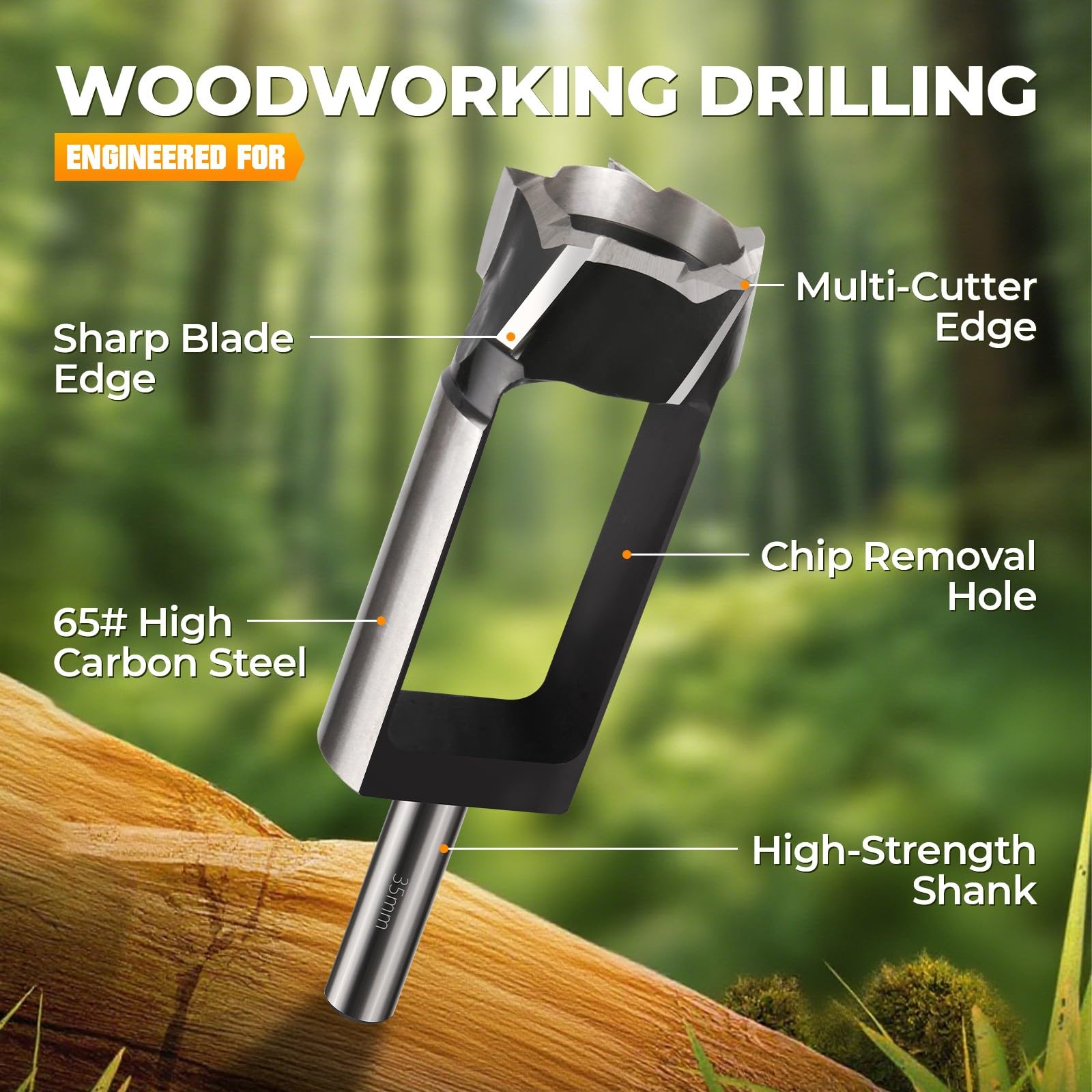 View 3