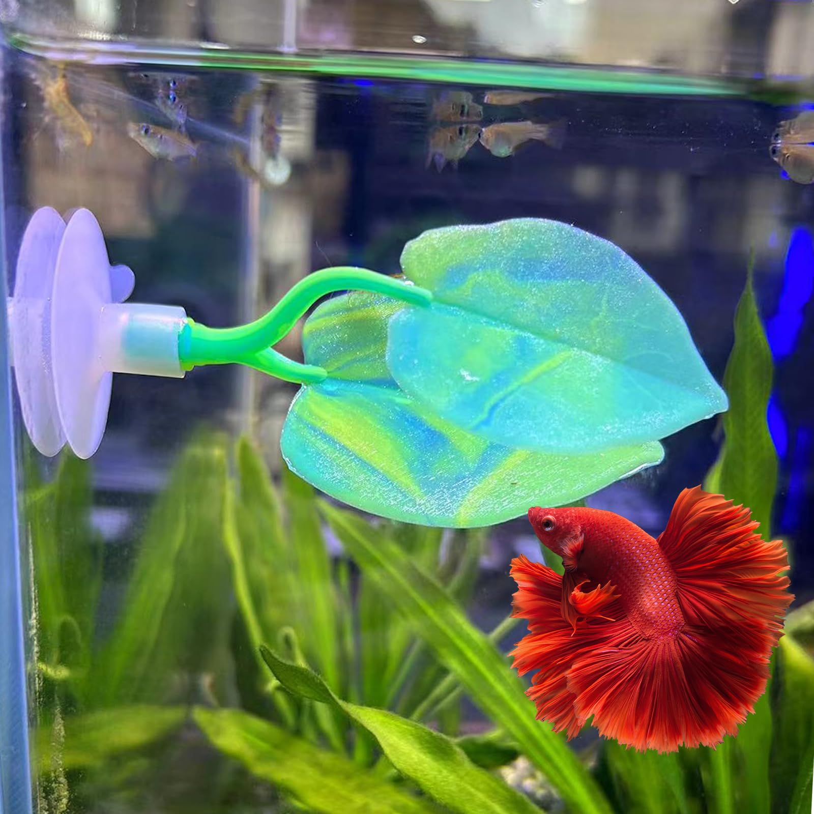 SLSON Betta Hamac Feuille de Lit, Tapis du Repos,Aquarium Decoration Plantes,Décoration de Réservoir à Poisson en Matériau Doux Silicone,Ventouse Forte, Pas Facile à Déplacer