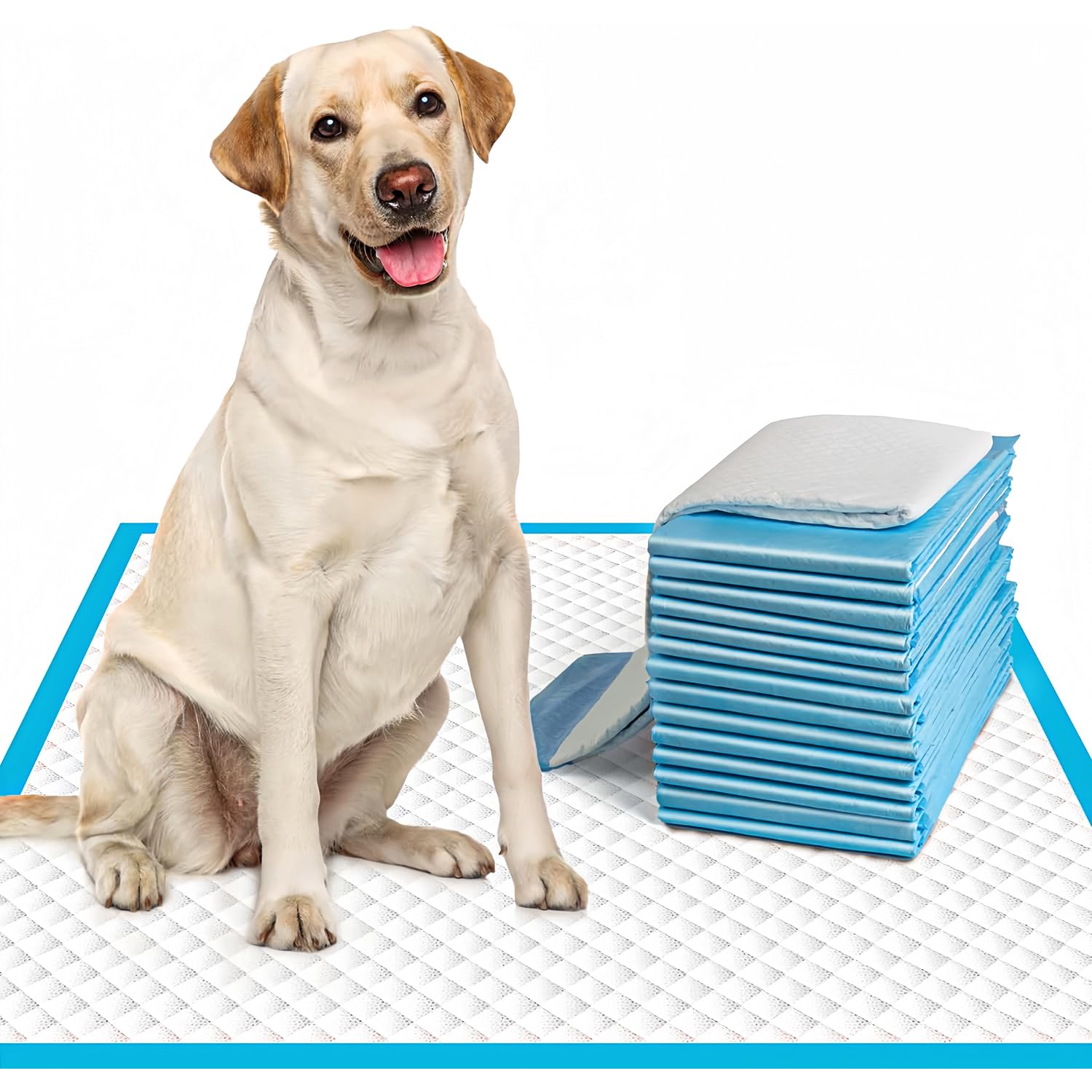 Elalove Almohadillas Extra Grandes para orina de Perro de 23.6 x 23.6 Pulgadas, 100 Unidades, Almohadillas de Entrenamiento Extra Grandes para orina de Cachorros, súper absorbentes y a Prueba de