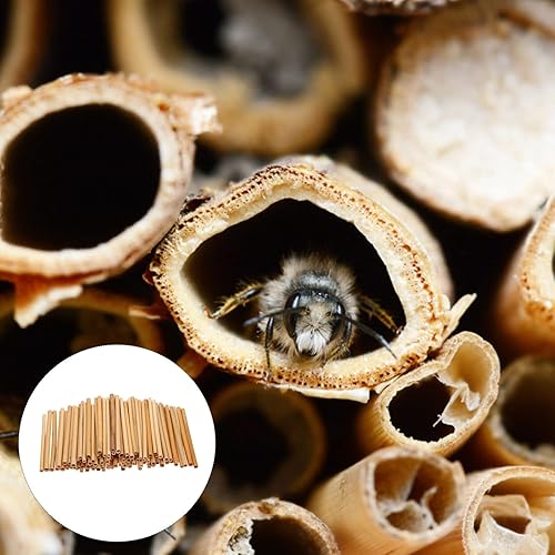 Miniatura 8 de Tofficu Mason Bee Nesting Reeds Reed Tubes for Bee Houses Bee Tube Reed 100pcs Mason Bee Tubes, Bee House Refill Pack, Tubes Refill Tube