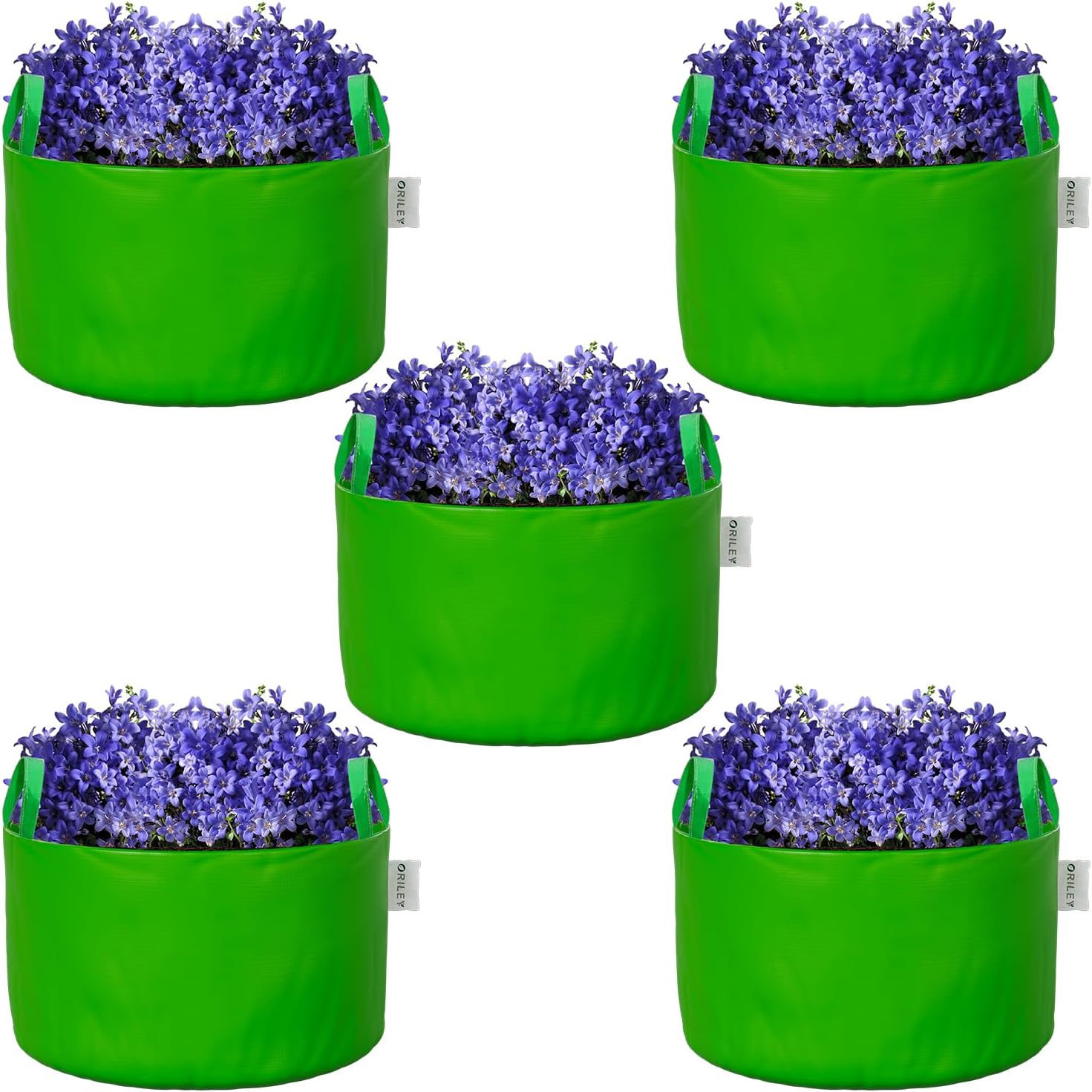 ORILEY Grow Bag Heavy Duty HDPE Plants Flower Growing Bags Floor Standing Mount Type for Home Garden Balcony Terrace Kitchen Nursery (Green, Round with Handle, 250 GSM 6 x 6 inch Pack of 5)