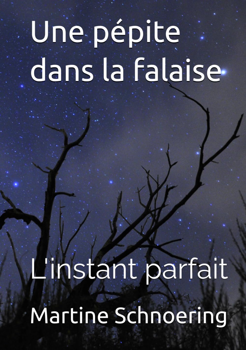 Une pépite dans la falaise: L'instant parfait