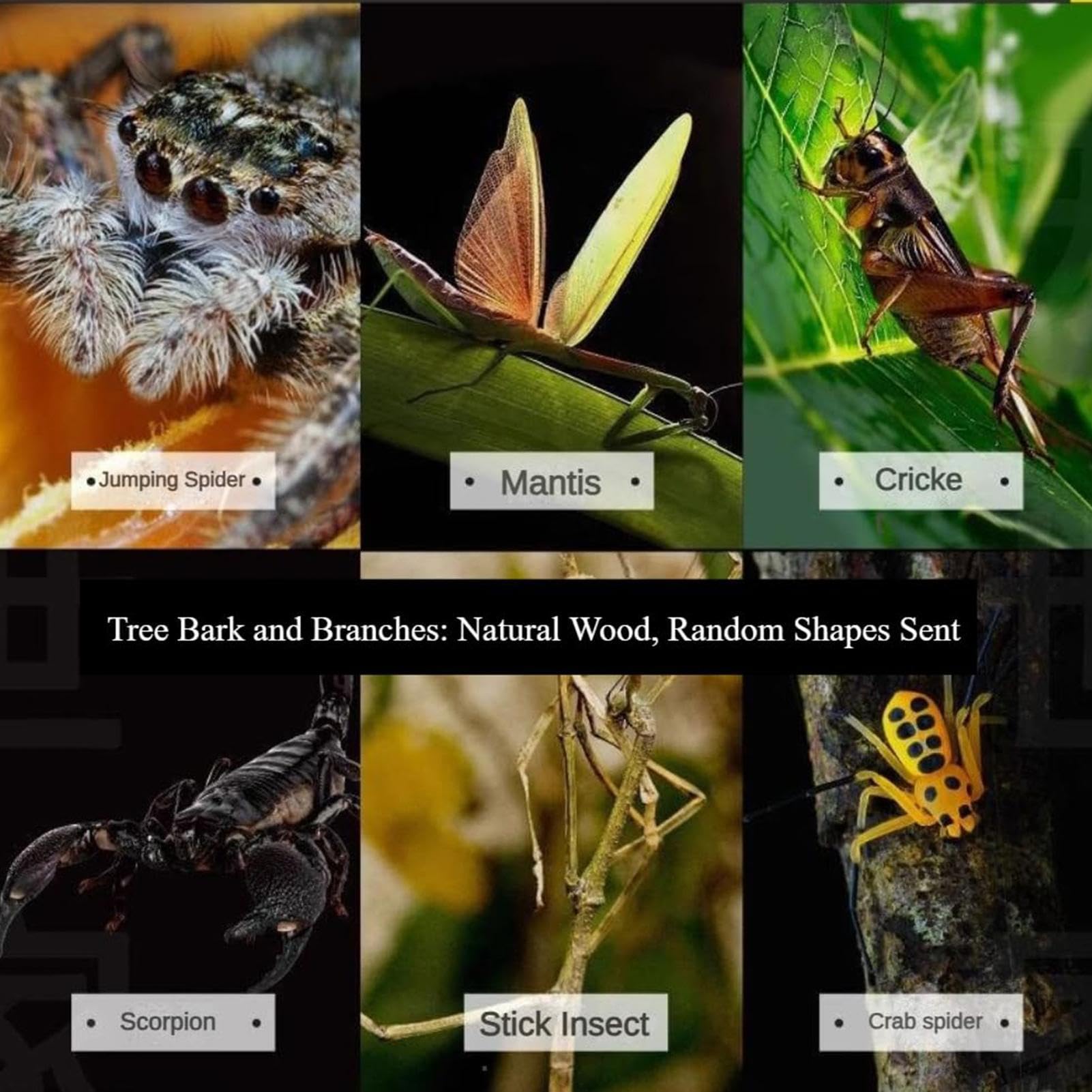 Recinto para Arañas Saltadoras, Juego De Cría De Reptiles Acrílico Transparente con Recinto, Paisaje, Dispositivo De Ventilación, Plato, Dispositivo De Iluminación para Tarántulas Arbóreas — view 5