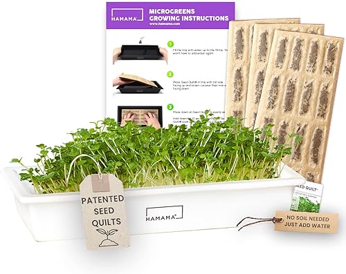 HAMAMA Home Microgreens Kit de cultivo para cultivar microverdes frescos en interiores cada semana, preparación en 30 segundos, simplemente añade