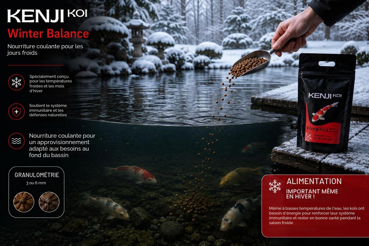 Winter Balance 5 kg 6 mm – Nourriture coulante pour carpes koï d'hiver – Nourriture pour carpes koï printemps, automne, hiver | Nourriture d'hiver KENJI KOI – Nourriture pour poissons qui