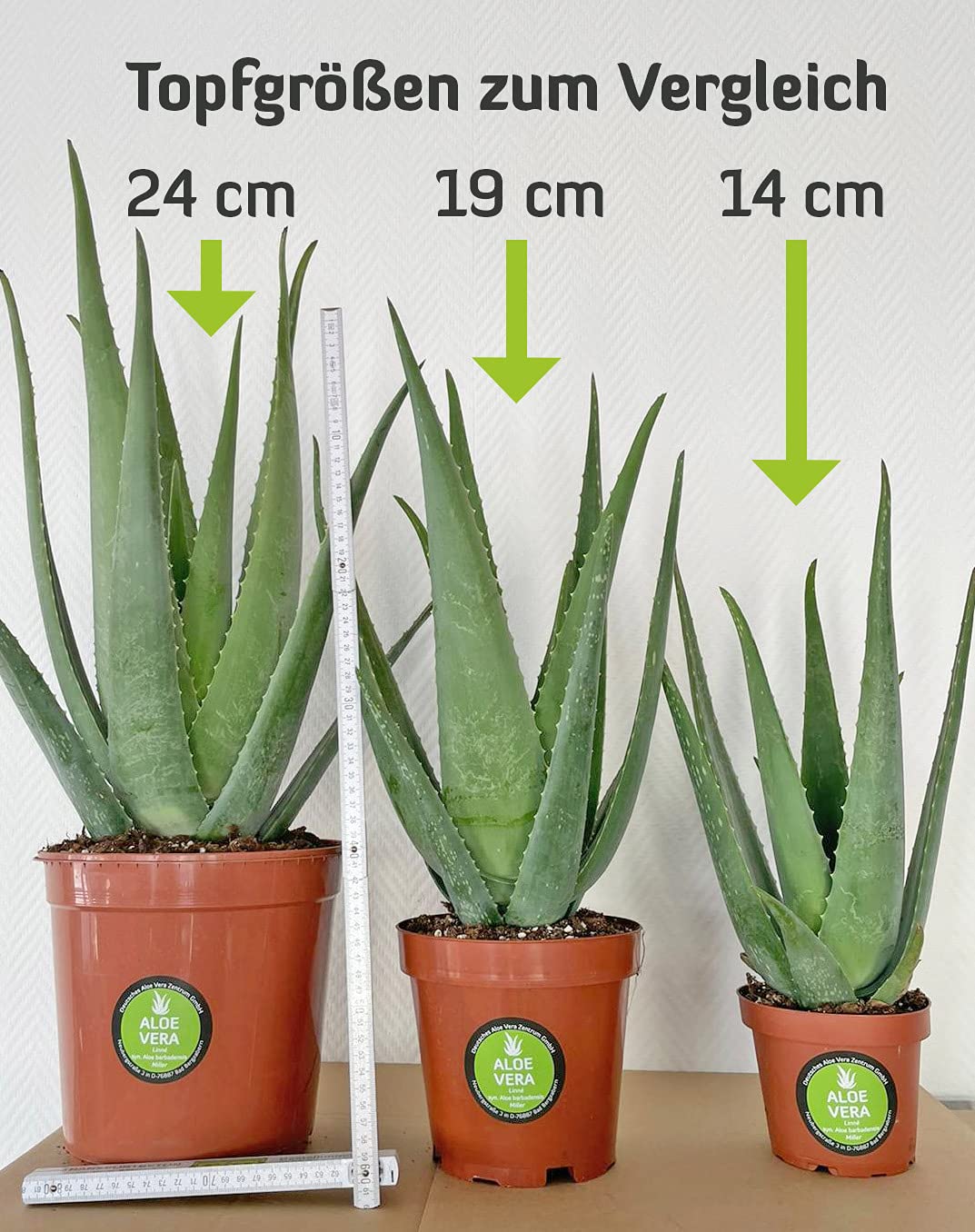 potting mix for aloe vera plants Casa De Amor Aloe Vera Potting Soil Mix, 100% Organic Special Research