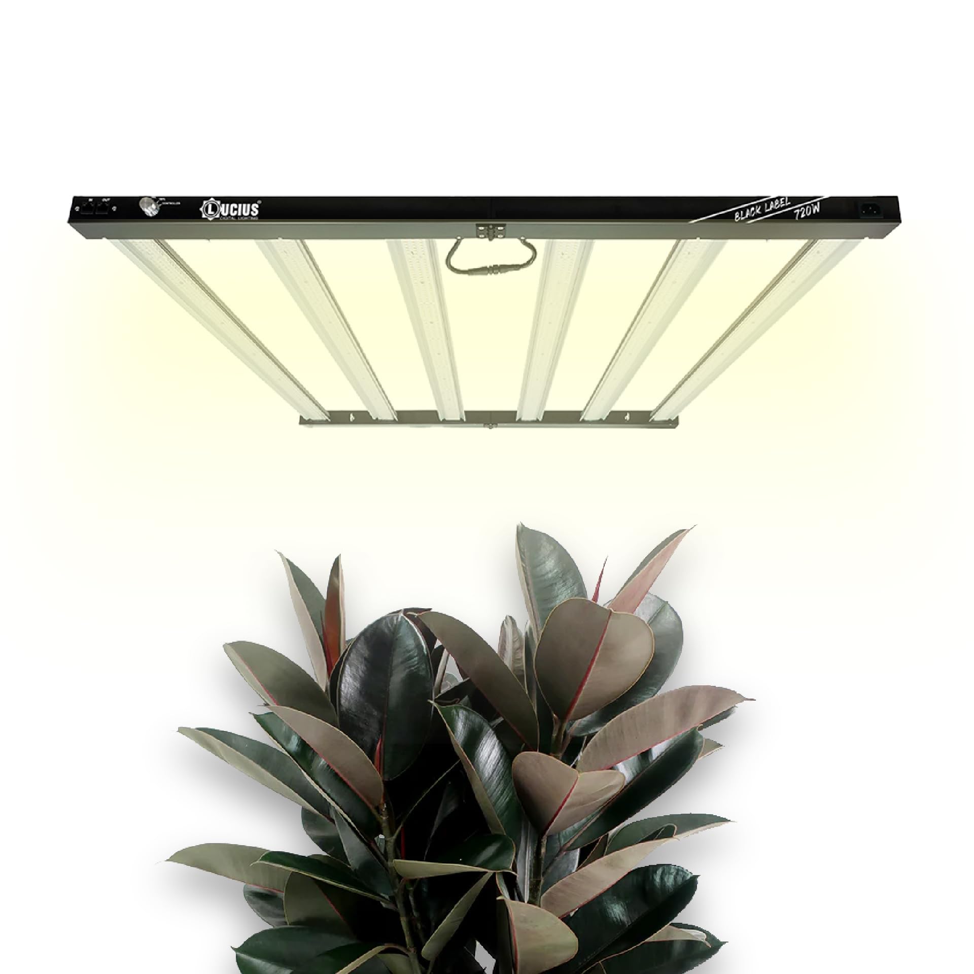 Lucius - LED 720W BLACK LABEL con Driver Integrado - 2.6 µmol para Cultivo Interior - Espectro Completo para Crecimiento y Floración - Máxima Producción, Resina y Calidad en Flores y Frutas