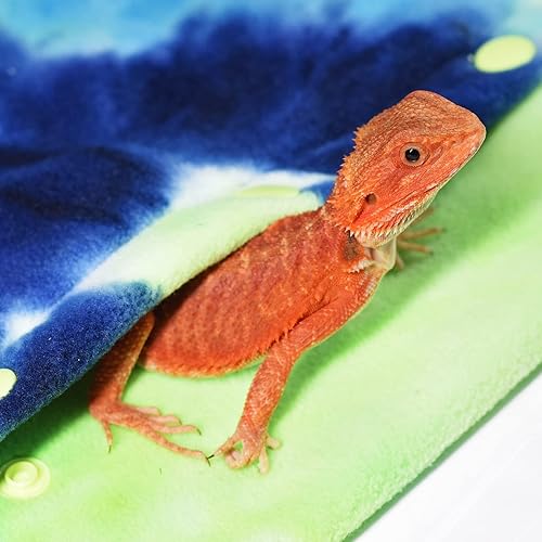 Miniatura 6 de LIKZINWA Transportador de eslinga de animales pequeños, dragón barbudo y lagarto transportador de reptiles con correa ajustable (azul-verde)