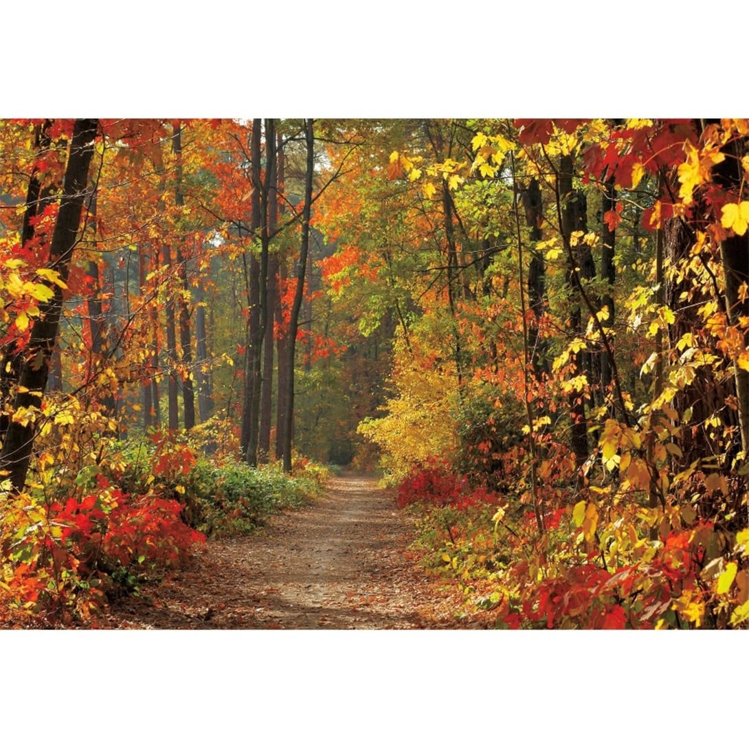 3x2,5m Sfondo paesaggio autunnale Autunno foglie di acero campagna strada sfondo Autunno foresta sfondo fotografico Decorazione per feste di compleanno Adulti Ritratto foto di scena