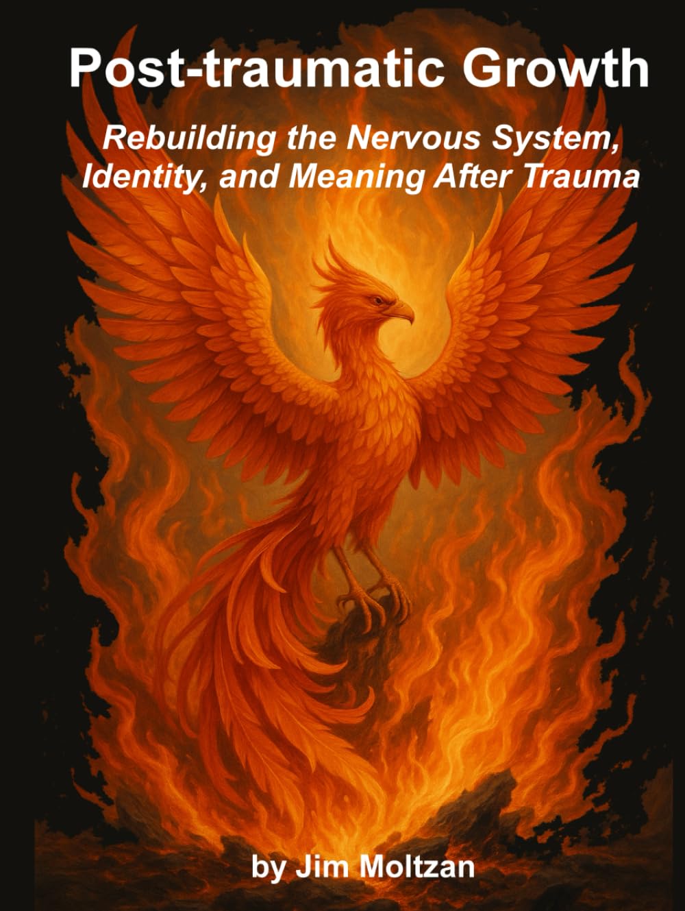 Post-traumatic Growth: Rebuilding the Nervous System, Identity, and Meaning After Trauma (Warrior–Scholar–Sage Series (Philosophy, Identity, Transformation))