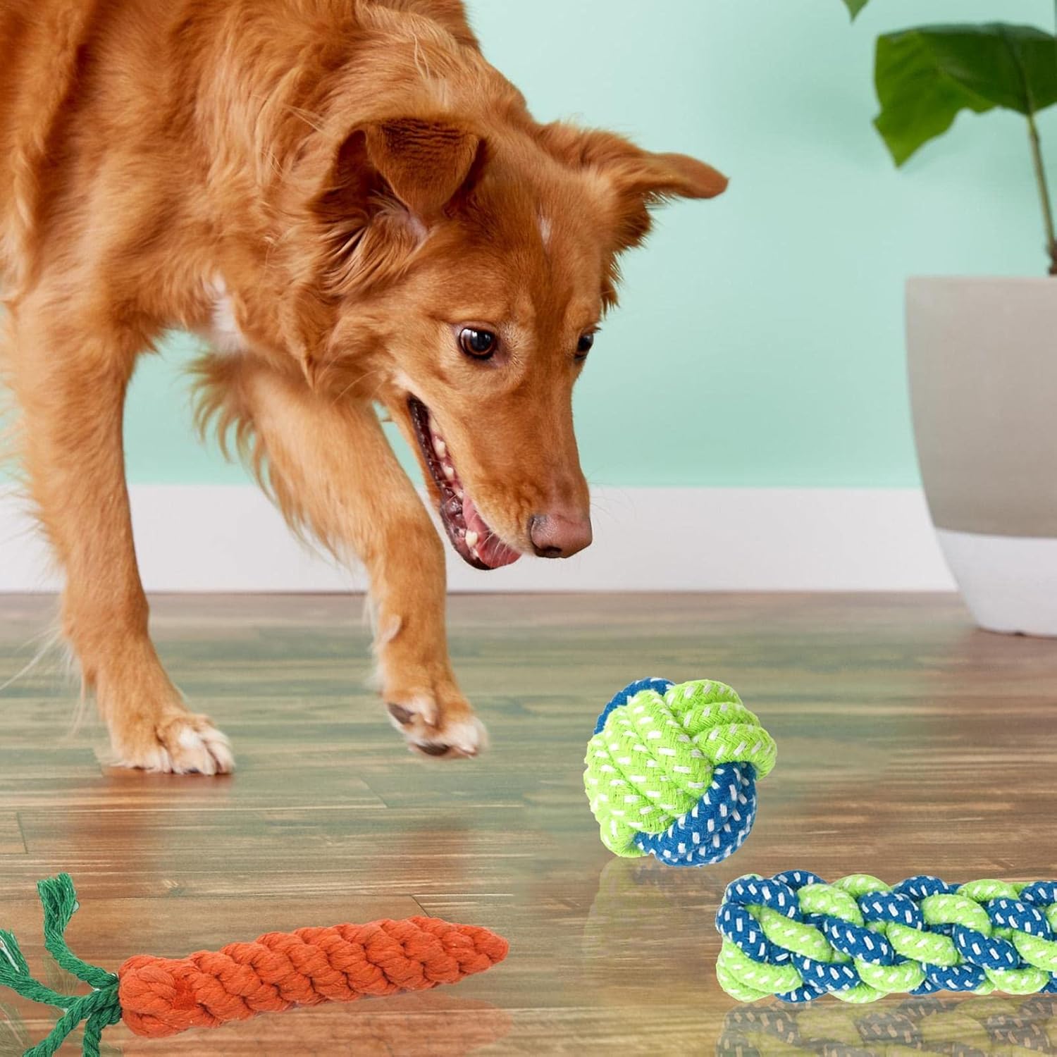 10 Pcs 積極的な咀嚼のためのロープのおもちゃ 子犬のための犬の噛むおもちゃ タフな犬のおもちゃ 中型犬用の頑丈な歯科用犬用ロープのおもちゃキット 不滅の犬のおもちゃ 綿の子犬の歯を噛むタグのおもちゃ Generic 74 以上節約