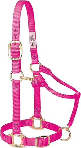 Cabresto Ajustável Weaver Nylon 2,5 cm Roxo