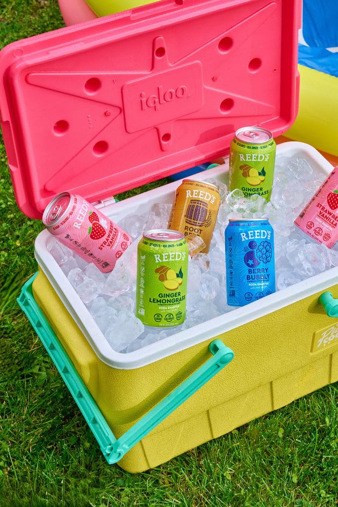 Reed's Strawberry Vanilla Functional Soda - Organic Ginger, Adaptogen Mushroom Blend, Prebiotics - 12oz Cans, 12-Pack