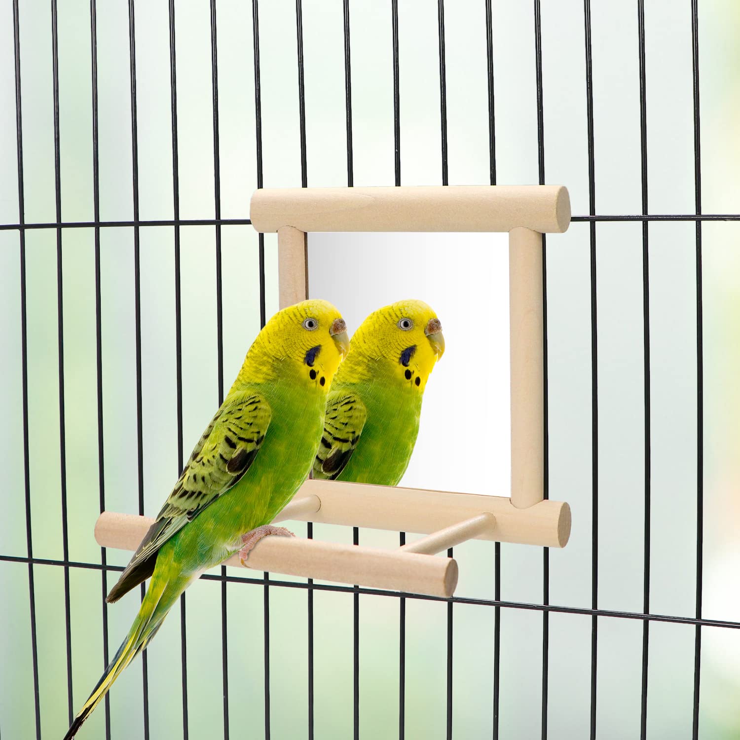 Espejo de pájaro con perca colgante de madera columpio juguete para loro, periquito cacatúa conure agapornis