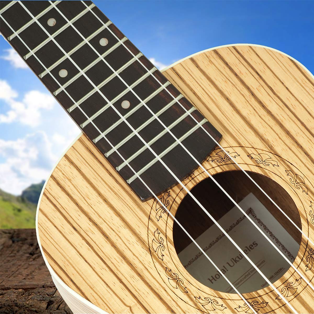 クレバ CONCERT TOUR 09-10 ROUND3BOX EDITION クレバ CONCERT TOUR 09-10 ROUND3BOX EDITION Blink-182