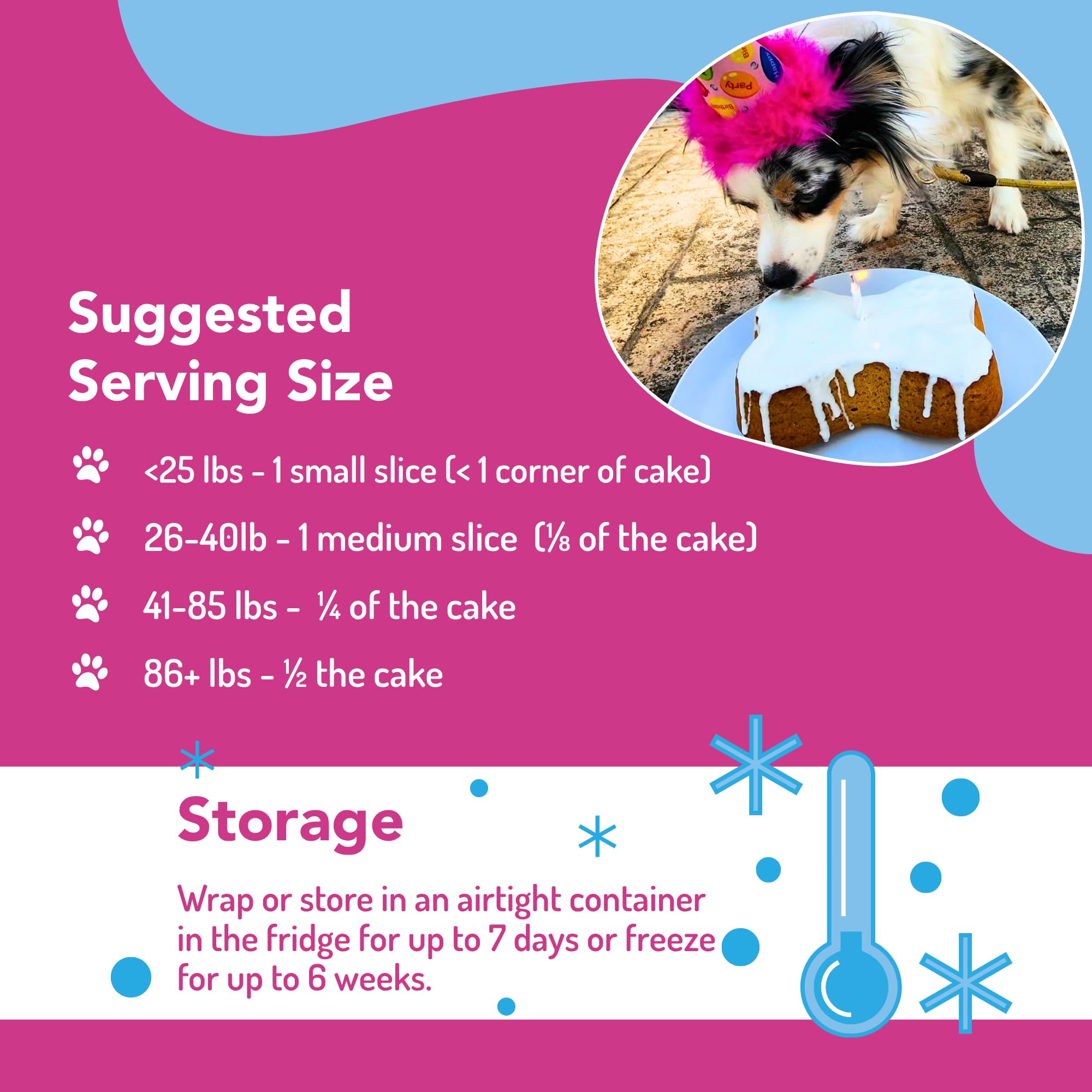Puppy Cake Hundegeburtstagskuchen-Set, Kuchenmischung, Zuckergussmischung, Kerze und Silikonpfanne (Kürbis)