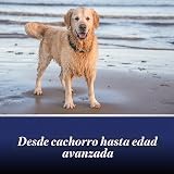 Ver la foto 4