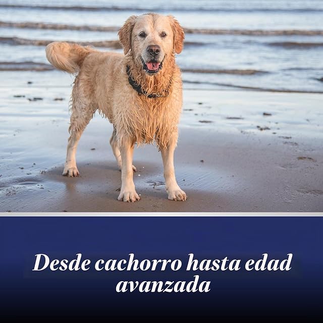 Foto 4 de 6 de Canosept comprimidos para las articulaciones para perros - Condroprotector perros