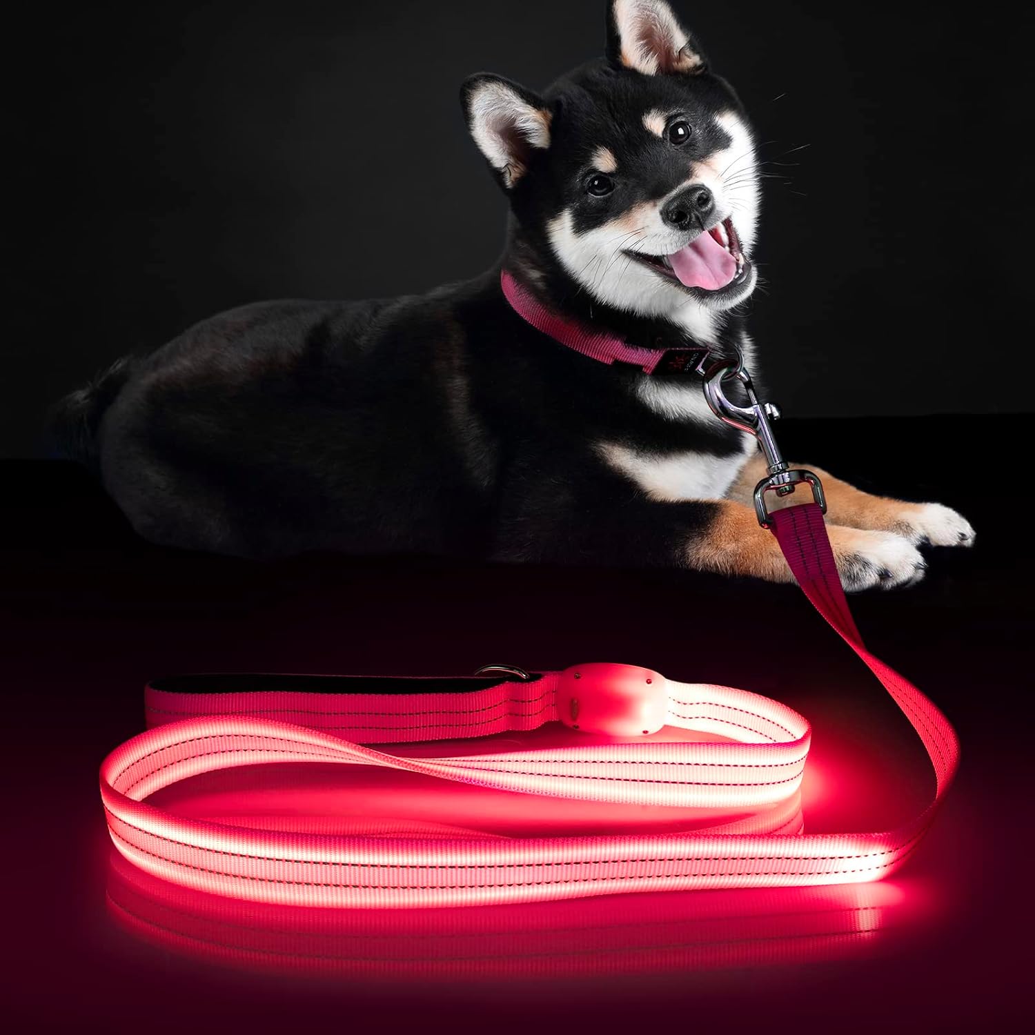 ChalkLit Led Dog Leash, Light Up Dog Leash Rechargeable Waterproof
