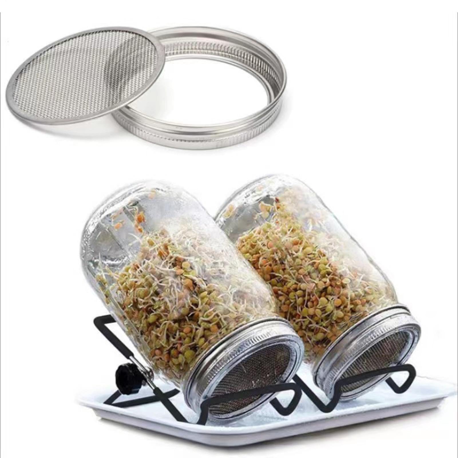 Kit de Germination pour la Maison Légumes Santé à