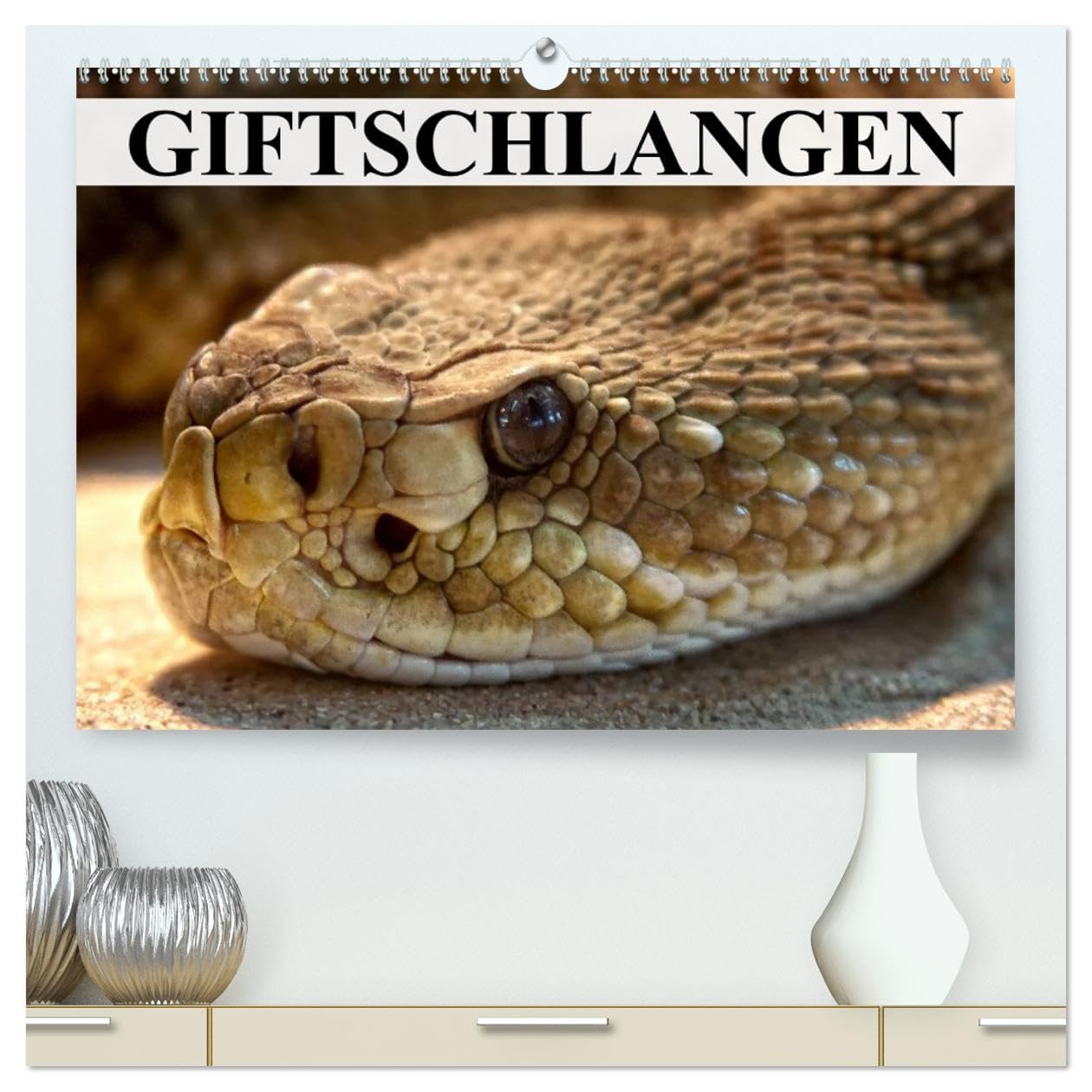 Giftschlangen (hochwertiger Premium Wandkalender 2026 DIN A2 quer), Kunstdruck in Hochglanz: Die Familie der Vipern, Ottern und Giftnattern (CALVENDO Tiere)