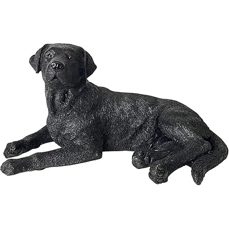 black lab store