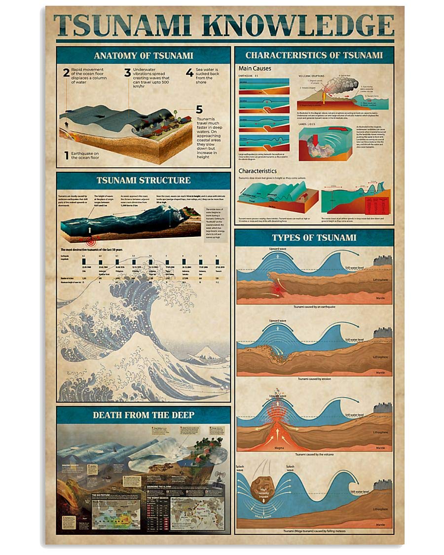 rayprint Tsunami Knowledge Metal Signs Classroom Wall Decor Tsunami Science Infographic Tin Posters Home Room School Plaque Decoration 12x16 Inches