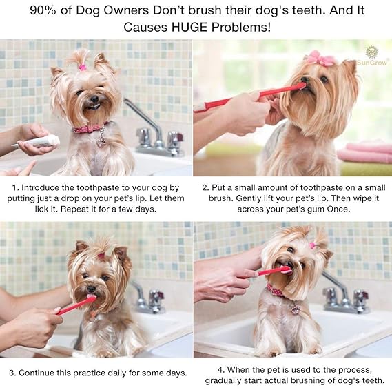 nunbell dog toothpaste