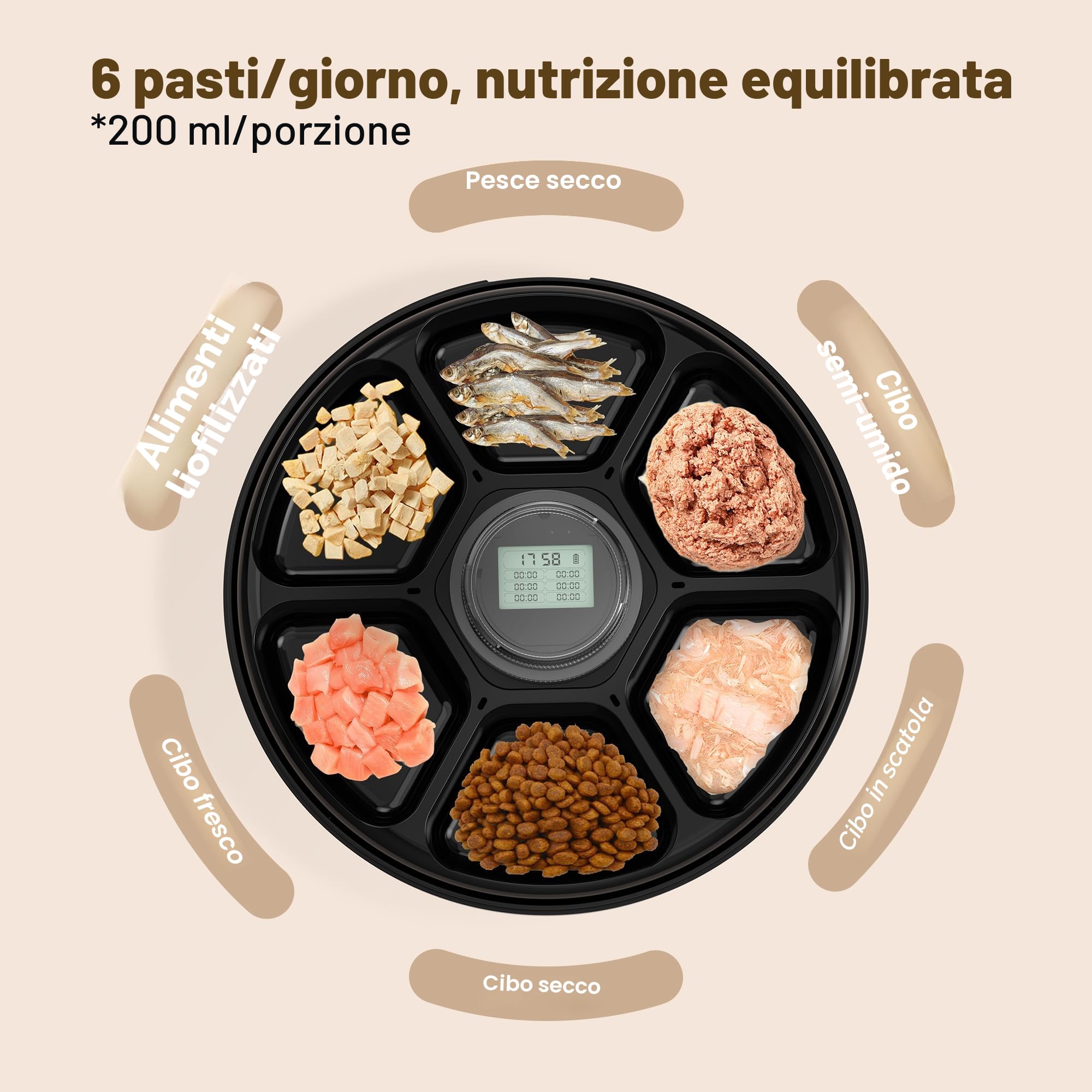 Distributore Automatico Cibo Gatti Umido: Dispenser Crocchette Gatto - Dosatore Crocchette per Gatti senza Fili - Dispenser Cibo Gatto 3AA Batteria - Distributore per Cani Timer - Refrigerazione