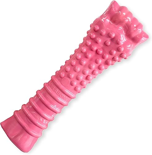 Nylabone Power Chew - Juguete masticable para perros para concientización sobre el cáncer de mama, juguetes indestructibles para masticadores
