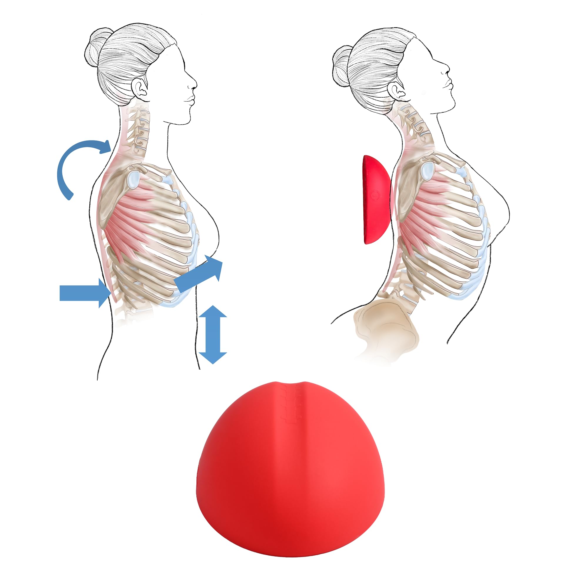 LittleMum Estirador flexible torácico, dispositivo de estiramiento pectoral, herramienta de autocuidado para costocondritis y dolor TOS, ayuda a arreglar el jorobado y el hombro redondo, liberación de