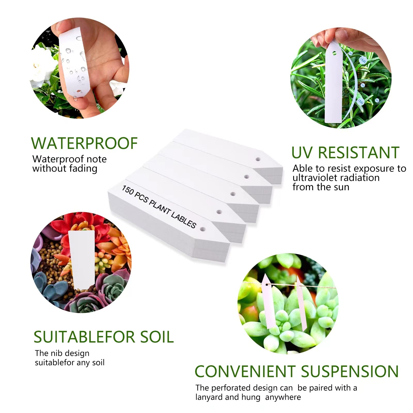 Etichette Per Piante - 150 Pezzi, Impermeabili, 2x10cm, Per Giardino, Semi E Erbe Aromatiche - Foto 7