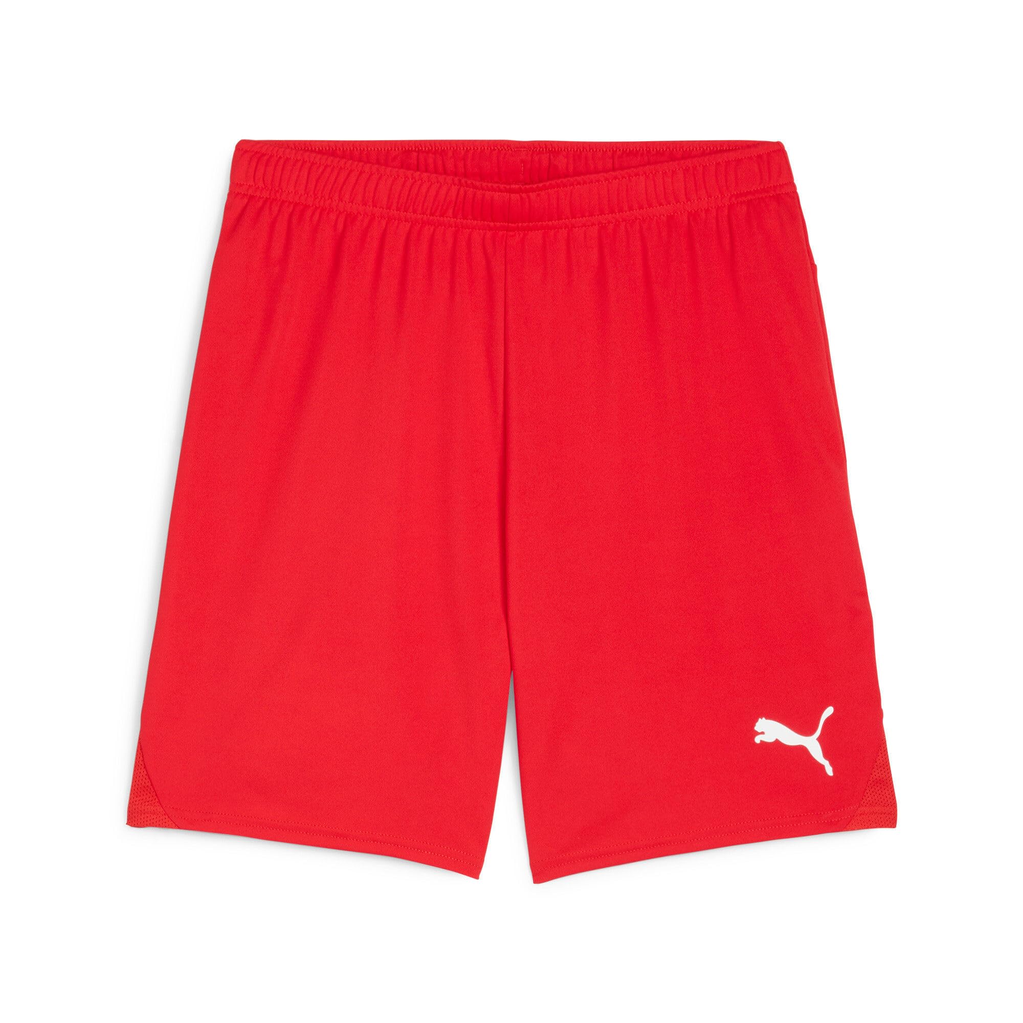 Puma Teamgoal 24 Shorts Red