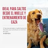 Ver la foto 2