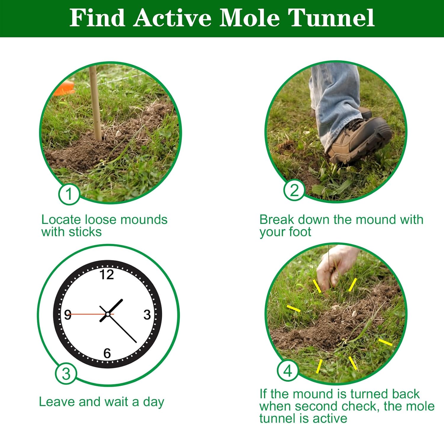 4 Pack Mole Traps that Kill Best, Mole Trap Easy to Set, Galvanized Steel Gopher Traps for Lawns, Reusable Quick Capture Gopher Hawk Vole Trap Outdoor Use