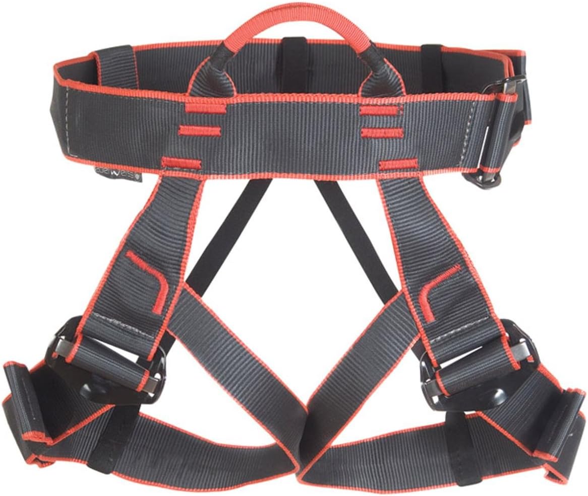 Mygale Universal Size BigaMart