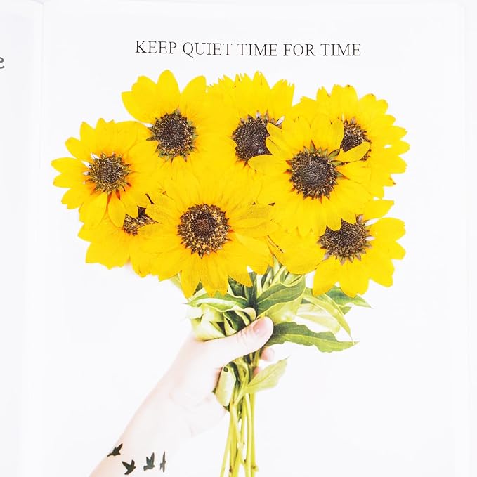 16 flores secas prensadas de girasol para manualidades miniatura 5