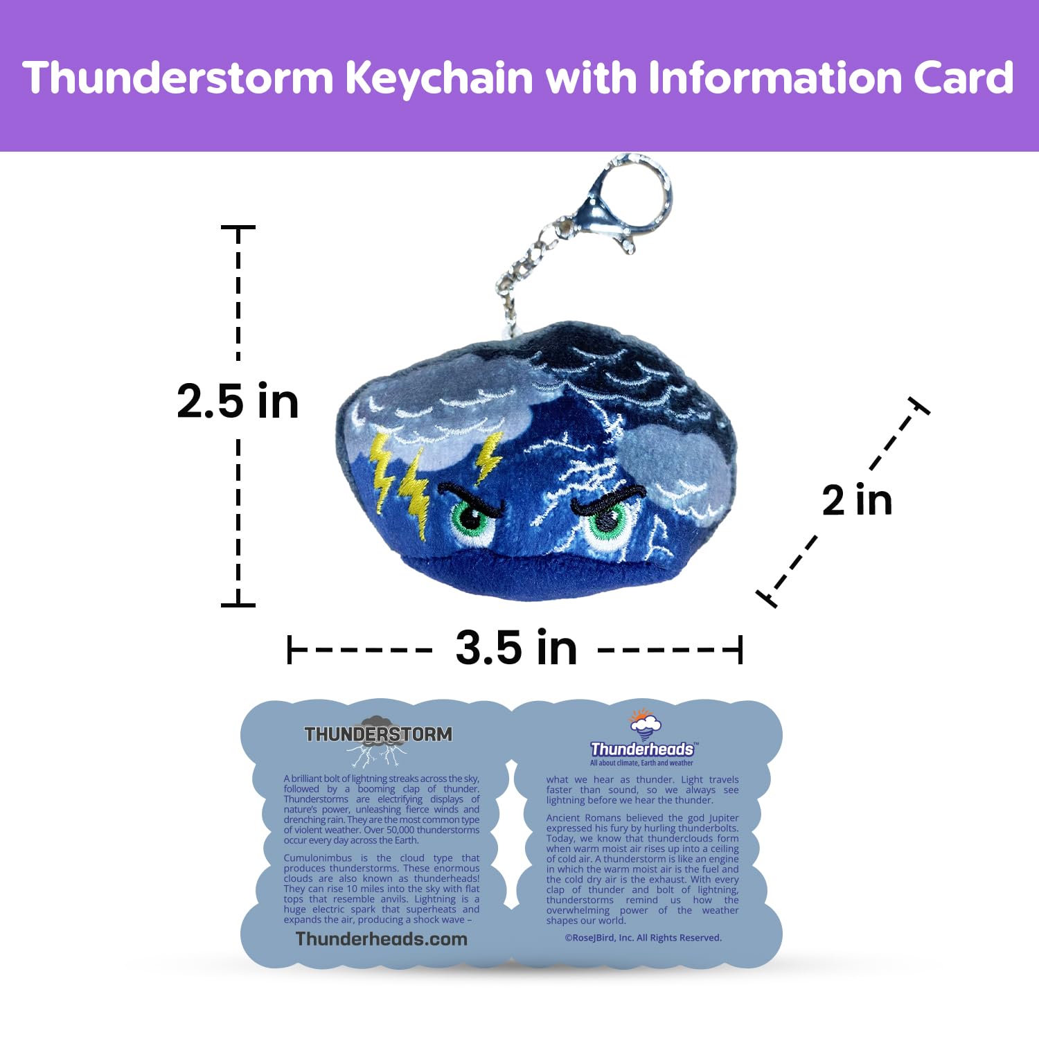 Thunderheads Plush Keychain Weather Educational Plush Bag Charm with Fact Card
