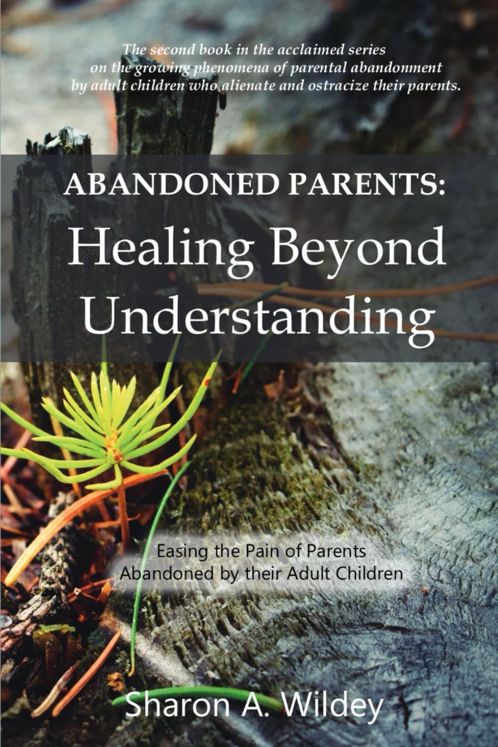 Abandoned Parents: Healing Beyond Understanding: Easing the pain of Parents Abandoned by their Adult Children: Volume 2