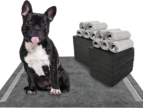 Dogcator Charcoal Dog Training Pads 100 Count, 22"x22" Puppy Pee Pads for Small Dogs, Activated Carbon Dog Pee Pads, Disposable Puppy Pads Pet Training Pads