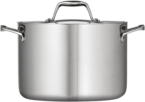 Gourmet Stock Pot with Lid Size: 8-qt.