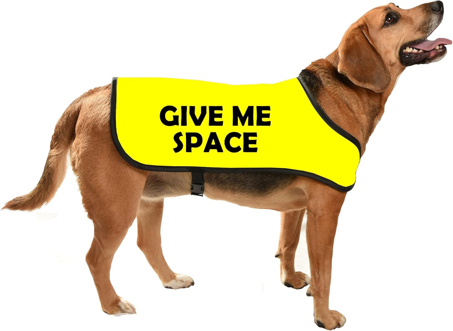 YELLOW HIGH VIZ DOG COAT GIVE ME SPACE FOR SHY, NERVOUS DOGS WHO NEED SPACE medium Amazon