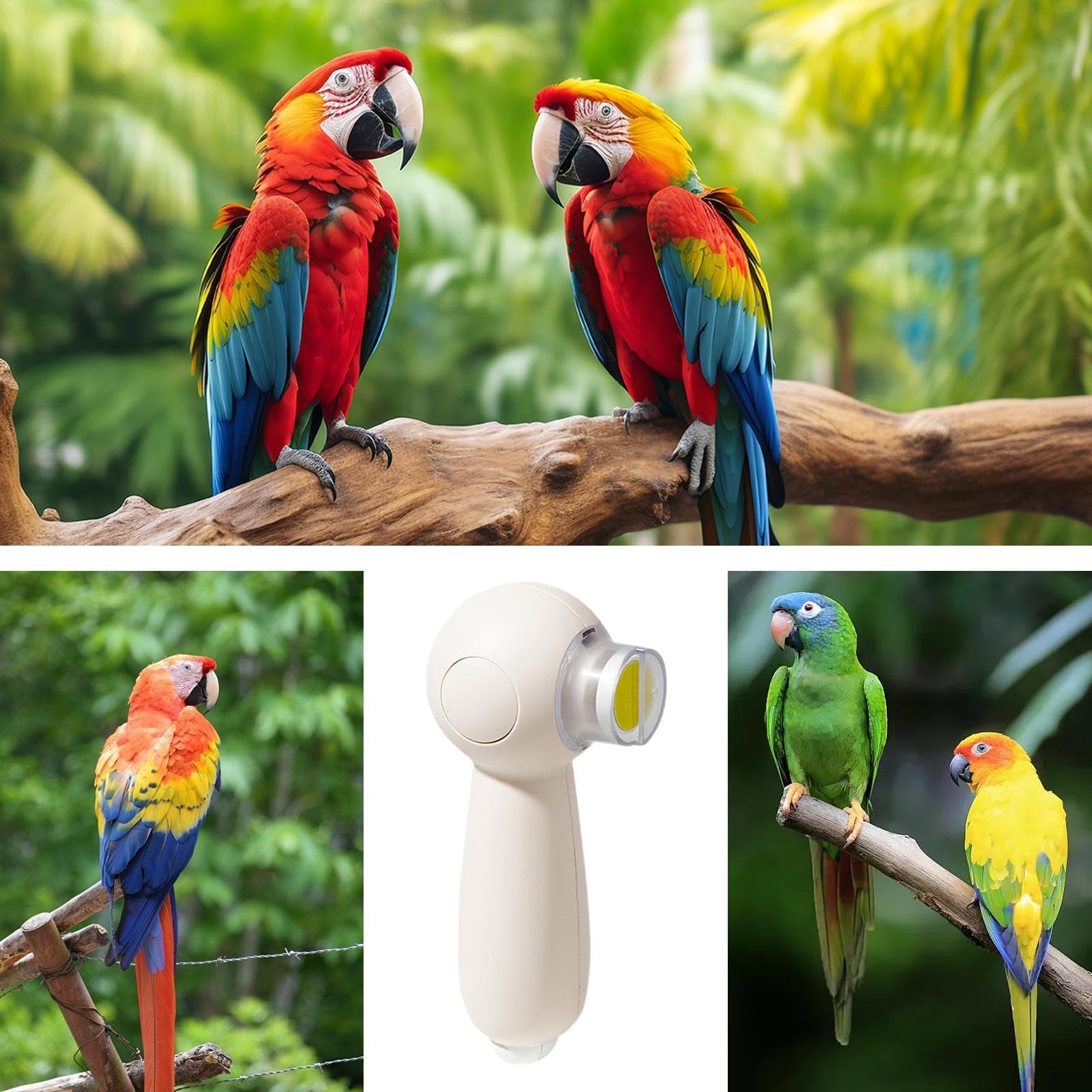 Schnabelschleifer - Silent Elektrischer Schnabelschleifer - Nagelschleifer für Vögel Nagelschleifer für Vögel Sanfte Pflege Werkzeug Nagelknipser inkl